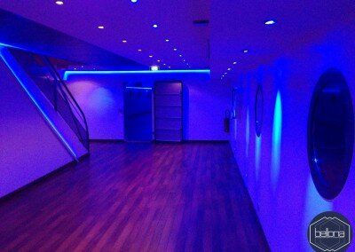 Petit_salon_1495